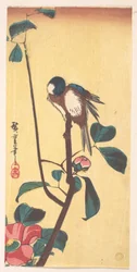 Camellia en blauwkoppige vogel