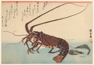 Kreeft en twee garnalen, uit de Grote Vis serie, 1840