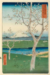 Fuji vanuit Koshigaya, Mushashi, nr.14 uit de serie 