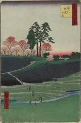 Gotenyama Hill, Shinagawa, april 1856
