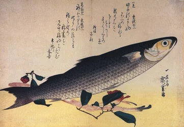 Hiroshige Grijze harder en camelia