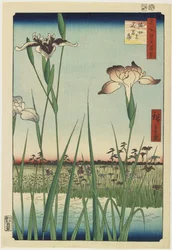 Iristuin in Horikiri, mei 1857