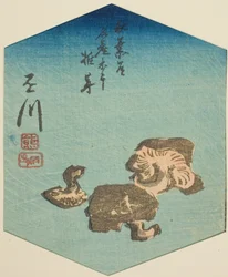Kakegawa, sectie van blad nr. 7 uit de serie 