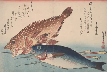 Kasago, Isaki, en Gember, 1832