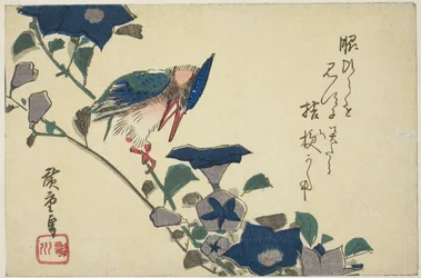 IJsvogel en Klokbloemen