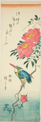 IJsvogel en Rozen