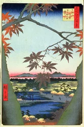 Esdoorns bij Mam, Tekona heiligdom en verbonden brug, plaat 94 uit de serie Honderd uitzichten van Edo, Edo Periode, Ansei Era, 1857