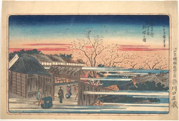 Kersenbloesem in de ochtend in Shin-Yoshiwara