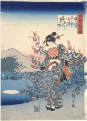 Noji: Zes Tama Rivieren