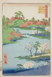 Opening van de tuin bij het heiligdom van Fukagawa Hachiman (Fukagawa Hachiman yamabiraki), nr.68 uit de serie "Honderd beroemde vergezichten van Edo (Meisho Edo hyakkei)".