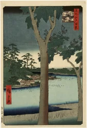 Paulowniaplantage in Akasaka