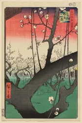 Pruimentuin, Kameido