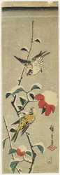 Mussen en Sneeuwige Camellia, 1837-1848