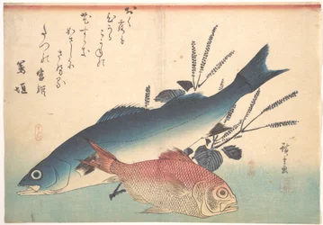 Suzuki- en kinmedai-vissen uit de serie Uozukushi (Alle vissoorten)