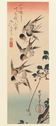 Tanzaku, Vier zwaluwen, 1832