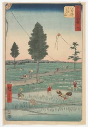 Achtentwintig, Fukuroi, Edo-periode, 1855