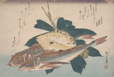 Twee poonvissen en een bot