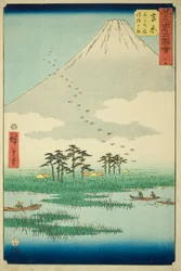 Yoshiwara: Fuji Moeras en Ukishima Vlakte, nr. 15 uit de serie 
