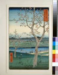 Koshigaya in de provincie Musashi