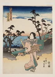 Uitzicht op Shirasuka