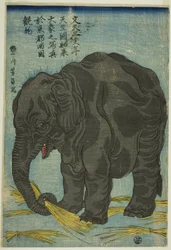 Afbeelding van grote olifant uit India, een attractie in Ryogoku in de oostelijke hoofdstad