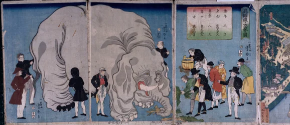 Buitenlanders met een Olifant