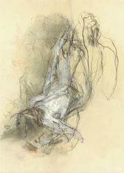 Vloeiende abstracte vorm