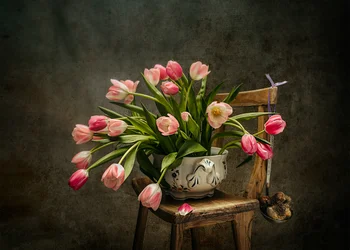 Elegante roze tulpen