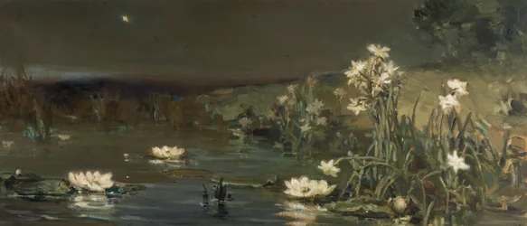 Ster in de Nacht
