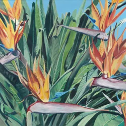 Paradijsvogelbloemen