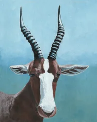 Geschilderde blik van een blesbok