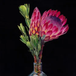 Roze protea-vazen