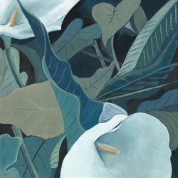 Rustgevende calla