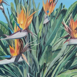 Levendige paradijsvogel