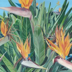 Levendige paradijsvogel
