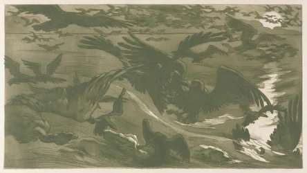 Roofvogels, 1893