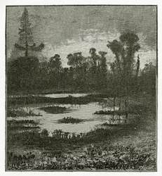 Les Chants du Crépuscule, 19e eeuw