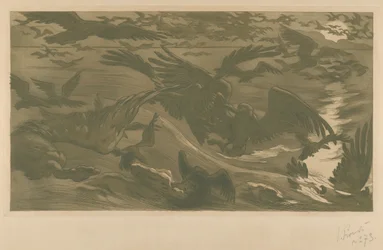 Roofvogels, 1893