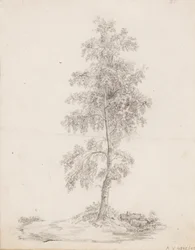 Berk