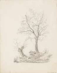 Bomen