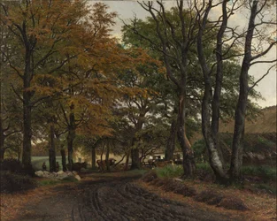 Een Weg Onder Oude Bomen