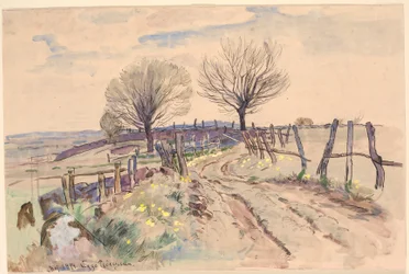 Landschap met veldweg