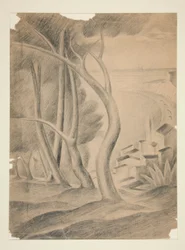 Landschap