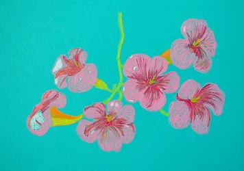 Roze bloementekening