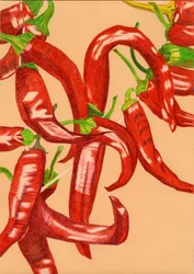 Pittige rode paprika’s