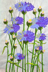 Levendige blauwe korenbloemen