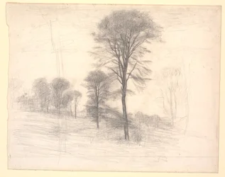 Landschap met verspreide bomen. 
