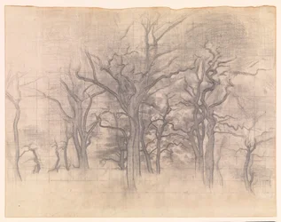 Eikenbomen