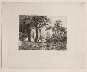 Eikenbomen aan de rand van een bos