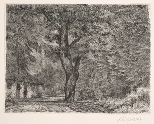 Het huis in het bos